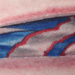 Tattoos - zubaz - 30227